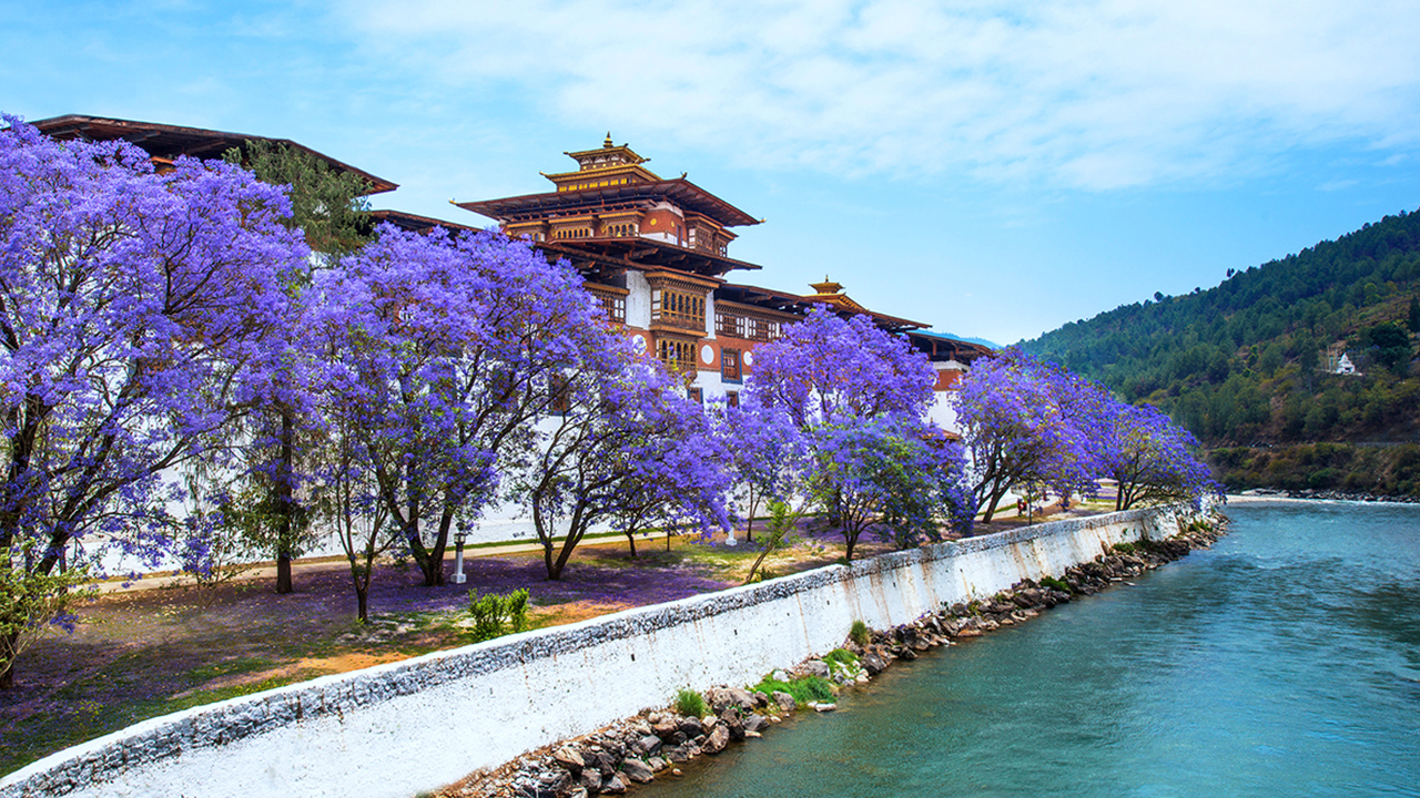 Book a trip to Bhutan during the blooming spring season