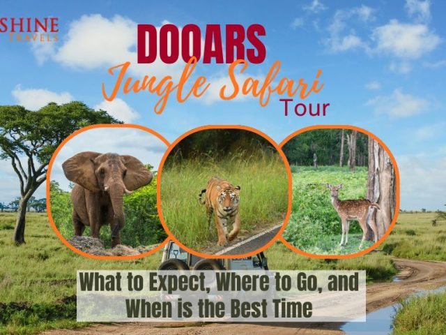 Dooars Jungle Safari Tour – What to Expect, Where to Go, and When is the Best Time