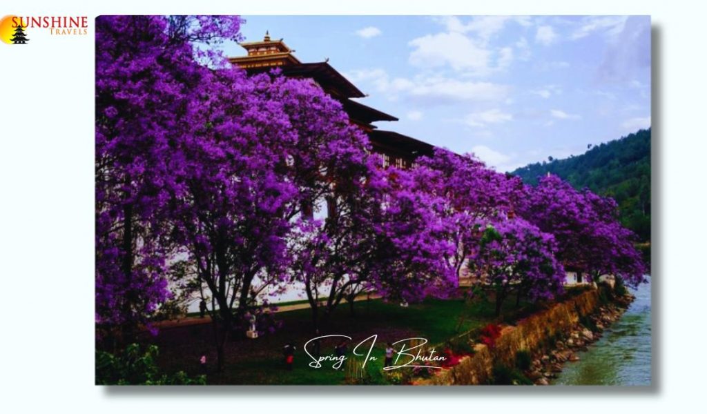 Spiring-in-bhutan Spiring-in-bhutan