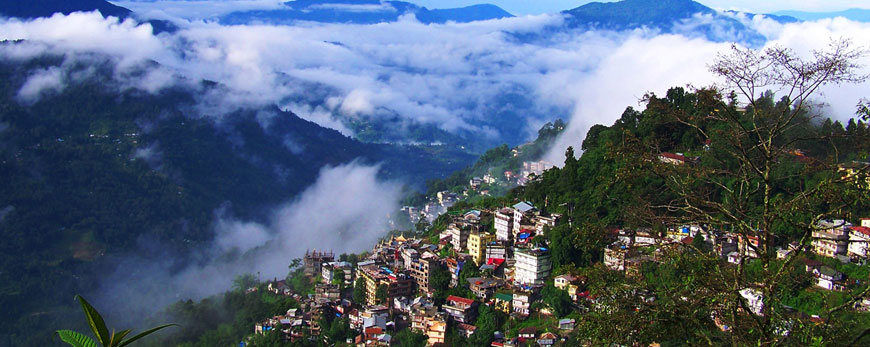 SST-DJ-01 Darjeeling (West Bengal)